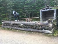 Algonquin Provincial Park - Spaziergang auf dem Logging Trail