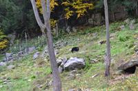 Fahrt durch den Omega-Wildpark