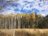 Erholung am Lac Taureau