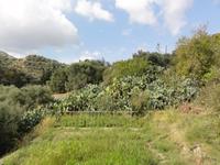 DSC06401