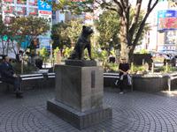 Tokio