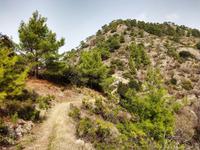155 Stavos tou Agiasmati-Lagoudera Trail
