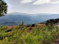 268 Kulturlandschaft oberhalb von Pano Panagia