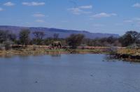 Mount Etjo Lodge im privaten Okonjati Wildreservat