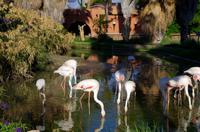 Mount Etjo Lodge im privaten Okonjati Wildreservat