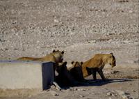 und jetzt Mittagsschlaf