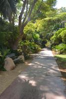 222 Botanischer Garten Ein Gedi