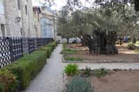 268 Garten Gethsemane