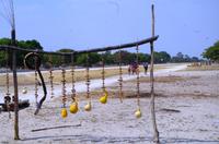 Unterwegs nach Rundu - am Straßenrand