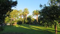 Garten vom Hotel Alpha