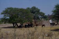 Unterwegs im Caprivistreifen