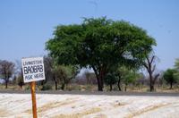 Unterwegs im Caprivizipfel - auf den Spuren von David Livingstone