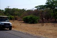Auf dem Weg zur Chobe Safari Lodge