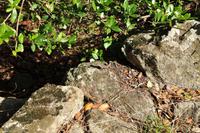 Wanderreise Elba IT-WAELB-35