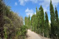 Tag 03 IT-WAELB (36)