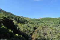 Tag 06 Monte Capanne IT-WAELB (8)