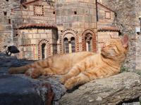 Sonnenanbeterin in Mystras