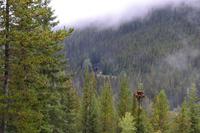 Yoho National Park - Spiral Tunnels