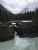 Yoho National Park - Natural Bridge