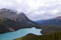Icefields Parkway - Peyto Lake