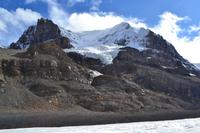 Icefields Parkway - Am Athabasca Glacier