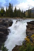 Icefields Parkway - Spaziergang an den Athabasca Falls