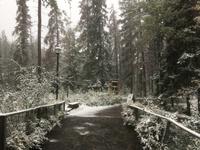 Jasper National Park - Spaziergang im Maligne Canyon