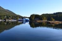 Kreuzfahrt Alaska - Ketchikan  - Bootsausflug & Adlerbeobachtung