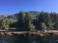 Kreuzfahrt Alaska - Ketchikan  - Bootsausflug & Adlerbeobachtung