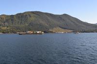 Kreuzfahrt Alaska - Ketchikan  - Bootsausflug & Adlerbeobachtung