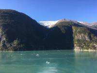 Kreuzfahrt nach Alaska - Tracy Arm Fjord