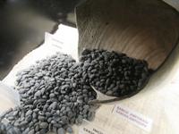 Festung Kyrenia - Schiffsmuseum