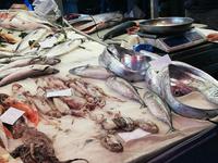 Catania Fischmarkt