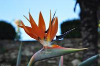 Tag 07 Taormina IT-VULKA (13)