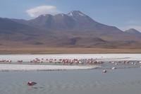 Besuch der Hochland-Lagunen Canapa, Honda und Hedionda in Bolivien (20)