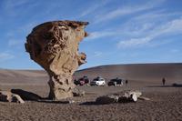 Siloli Wüste - Hochland - Bolivien (10)