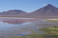 Wanderung Laguna Colorada - Eduardo Avaroa Nationalreservat - Bolivien (11)