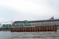 Bahnhof von Amsterdam