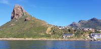 Hout Bay - Seal Island Tour