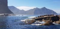 Hout Bay - Seal Island Tour