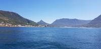 Hout Bay - Seal Island Tour