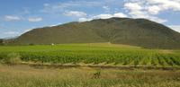Fahrt nach Oudtshoorn