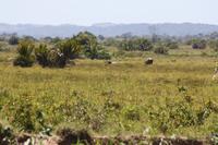 Bootsfahrt auf dem St.-Lucia-See