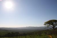 Safari im Hluhluwe Nationalpark