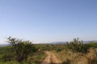 Safari im Hluhluwe Nationalpark