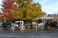Niagara on the lake 1