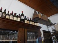 Tag 2. In der Azienda Agricola Marino.