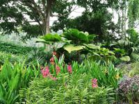 Botanischer Garten Singapur