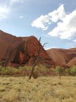 Ayers Rock - Uluru