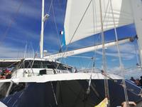 Katamaranfahrt mit der Ocean Spirit zum Great Barrier Reef